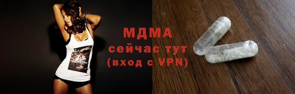 хмурый Аркадак