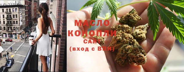 хмурый Аркадак